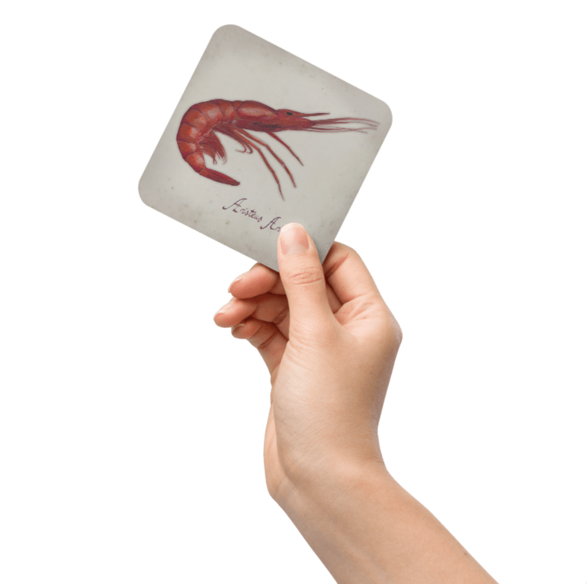 Cork-back coaster Prawn I Fish
