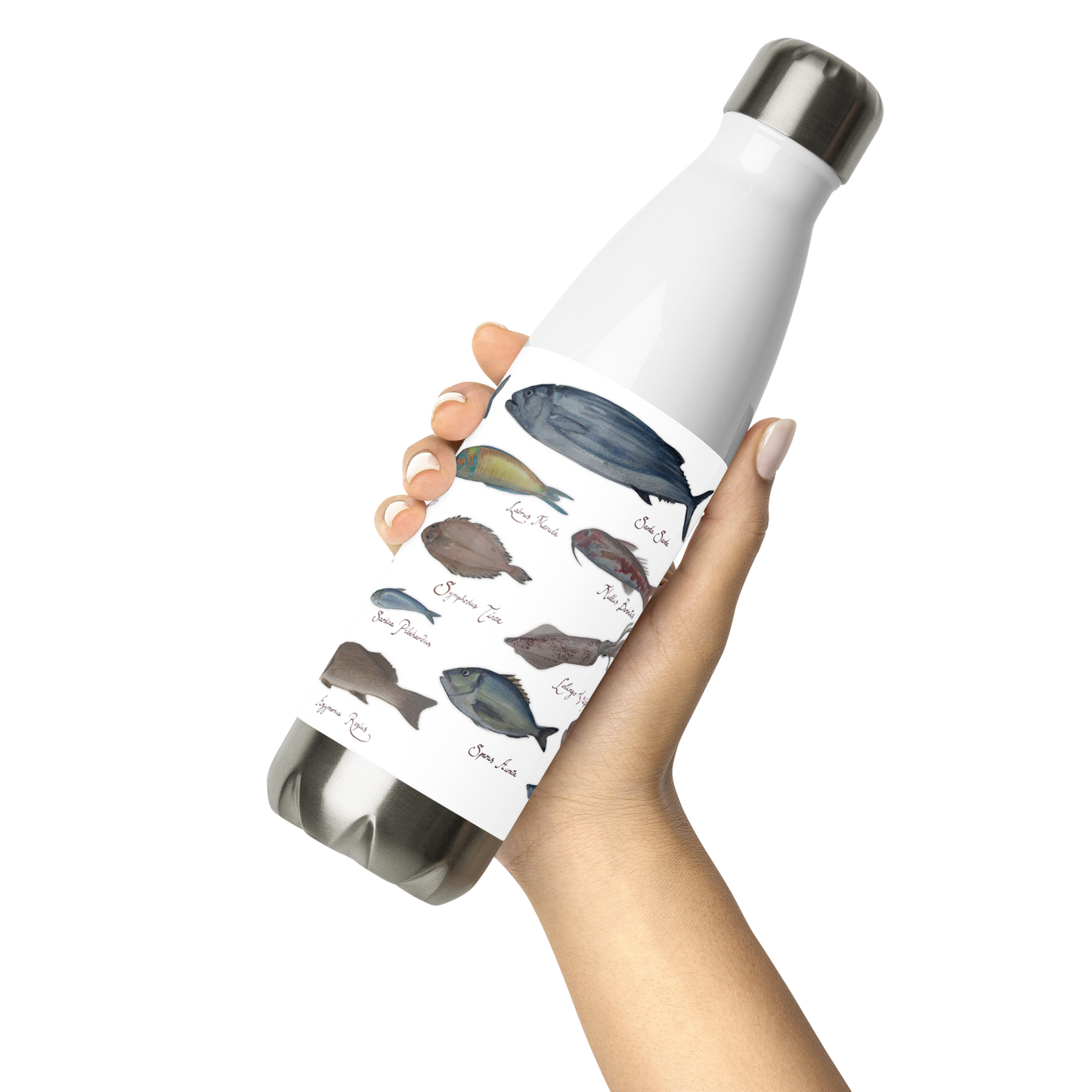 Stainless steel water bottle I Fish