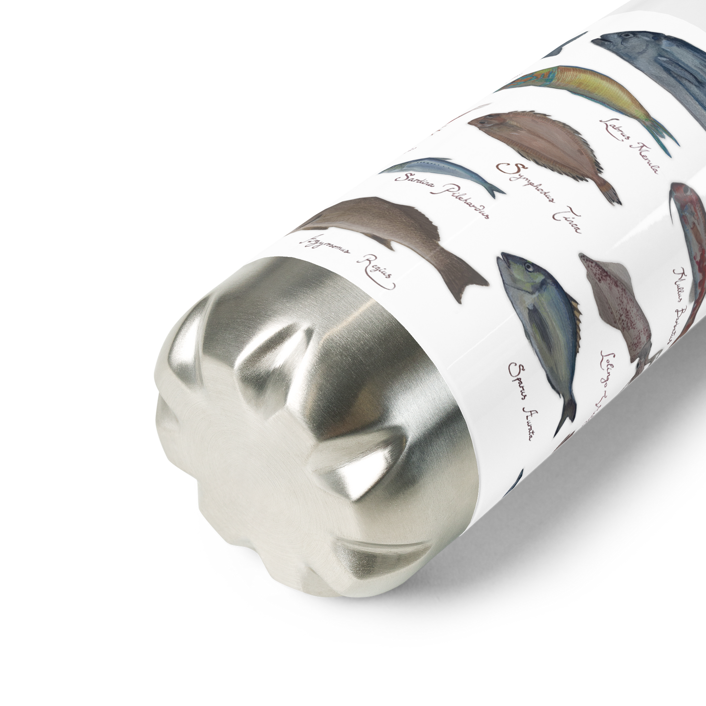 Stainless steel water bottle I Fish