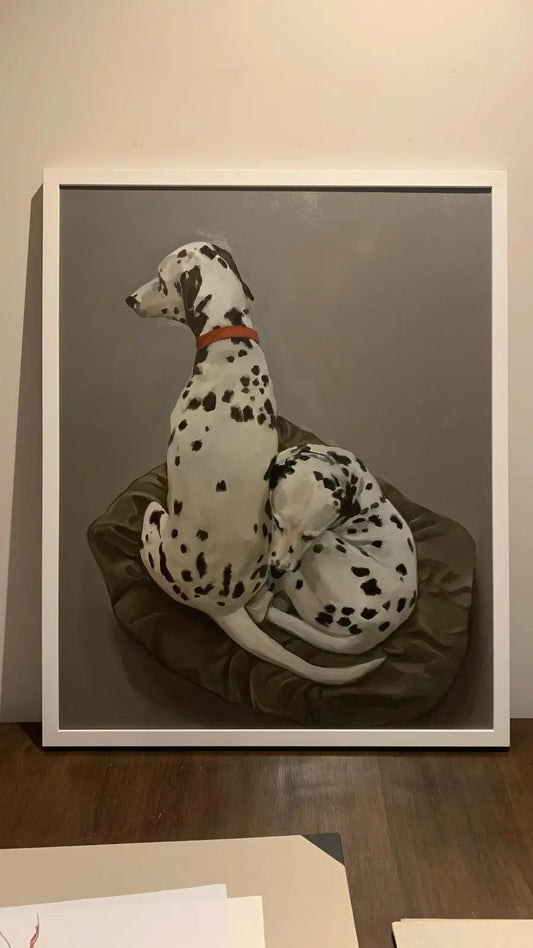 Dalmations Minuca Sostres