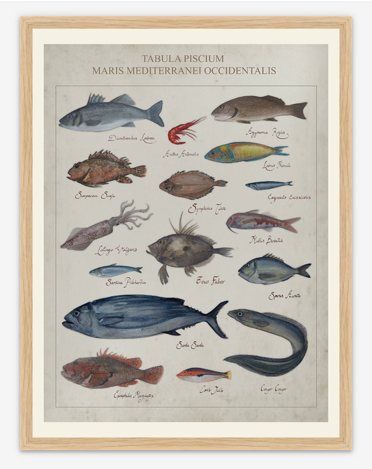 Fish POSTER