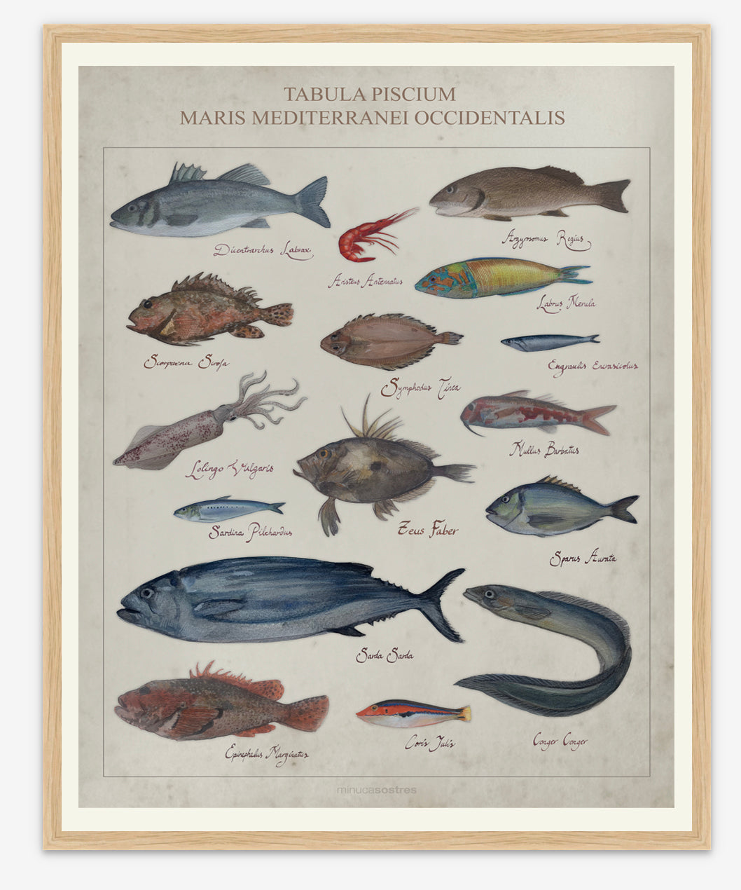 Fish I Print Art