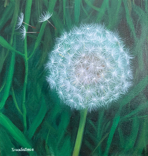 Dandelion